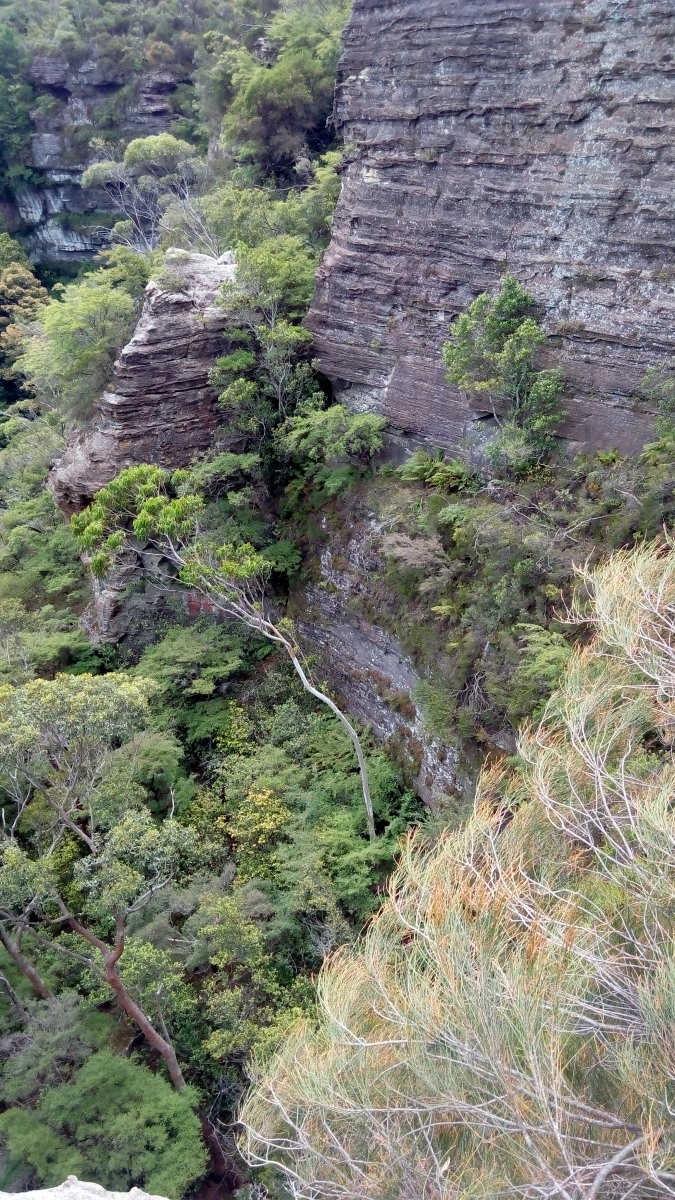 Landslide Gully into the Jamison Valley