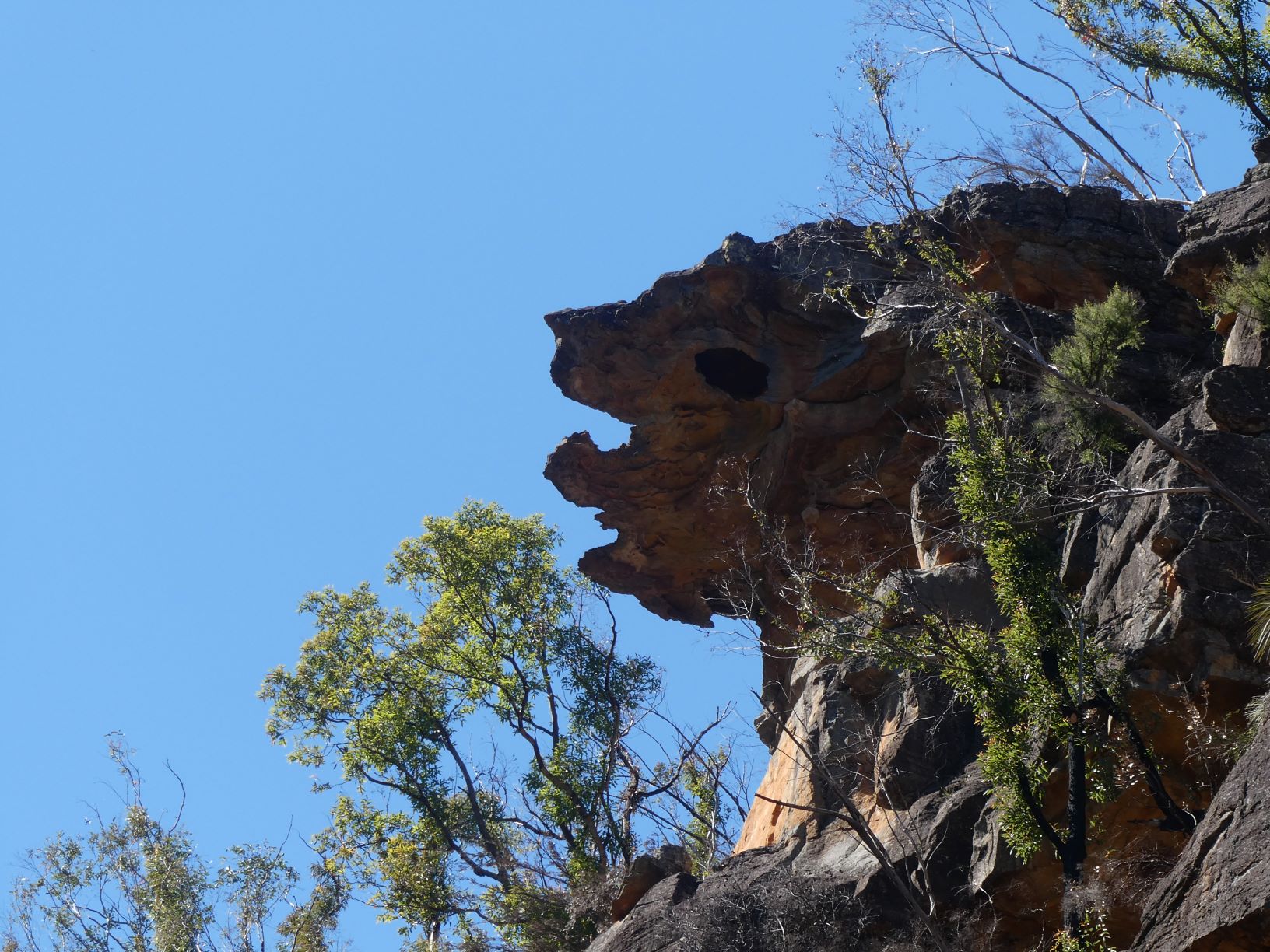 Overhanging Rock plate resembles a bearded animal