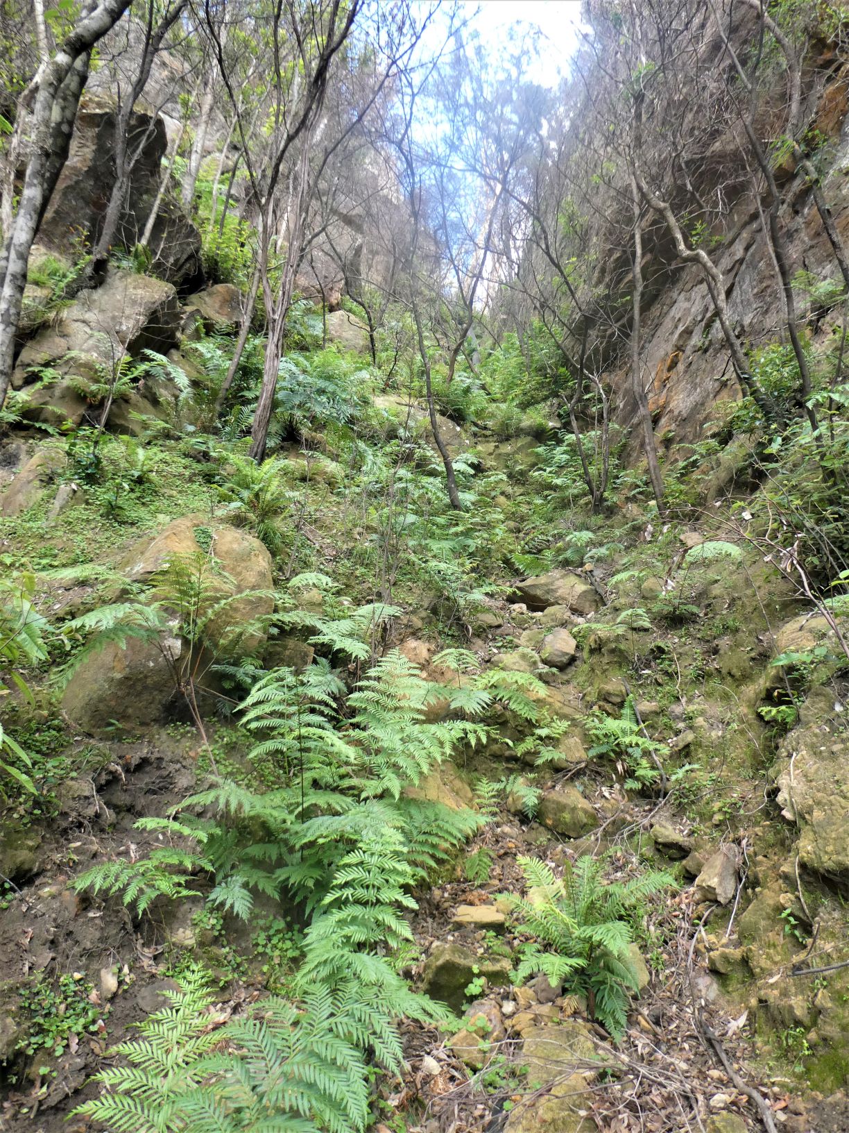 Looking back up the first gully