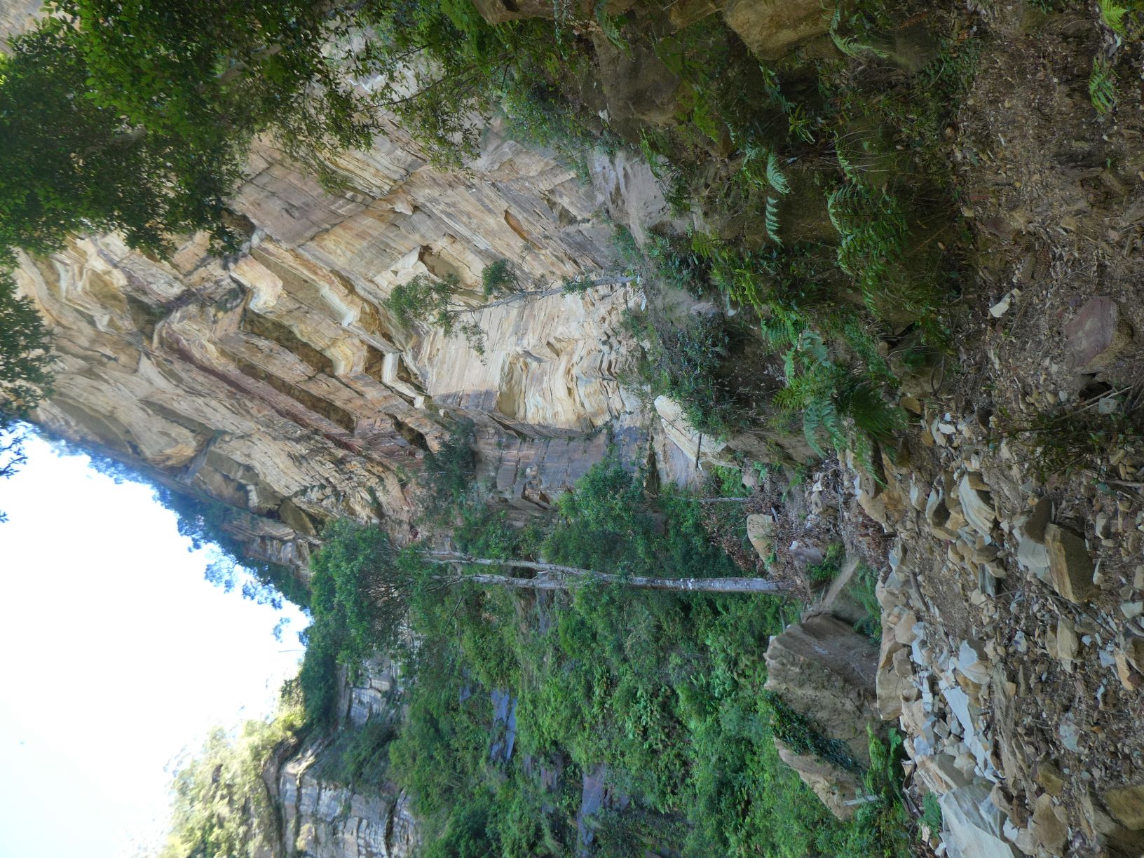 Source of landslip on Lindemans Pass