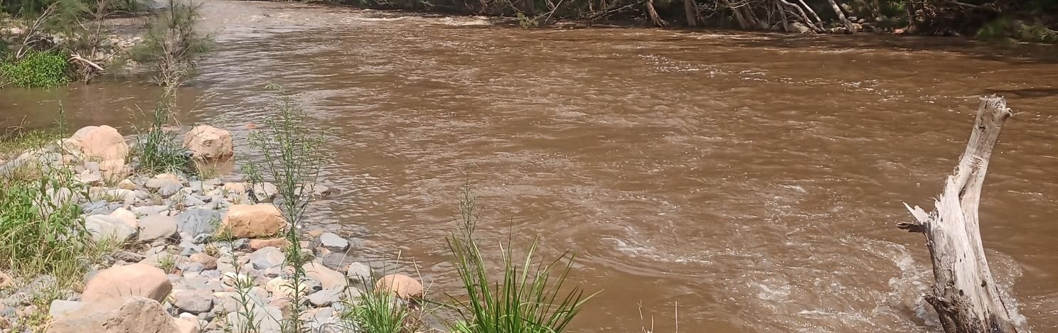 NSW Flood River Levels